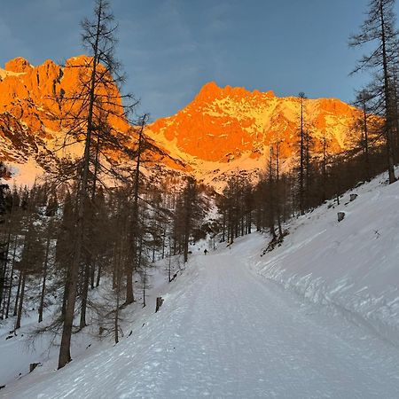 Romantikapartment Mit Sommercard Ramsau am Dachstein Eksteriør bilde