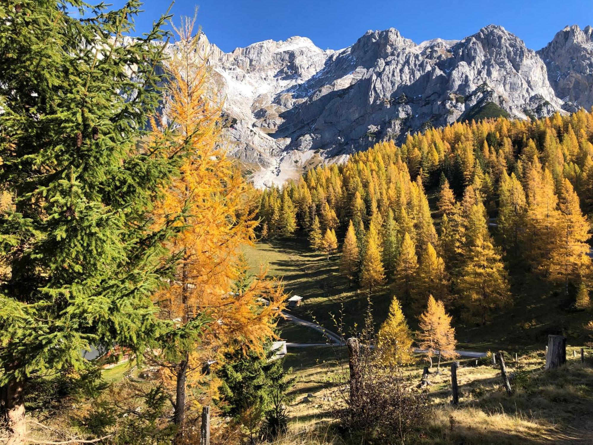 Romantikapartment Mit Sommercard Ramsau am Dachstein Eksteriør bilde