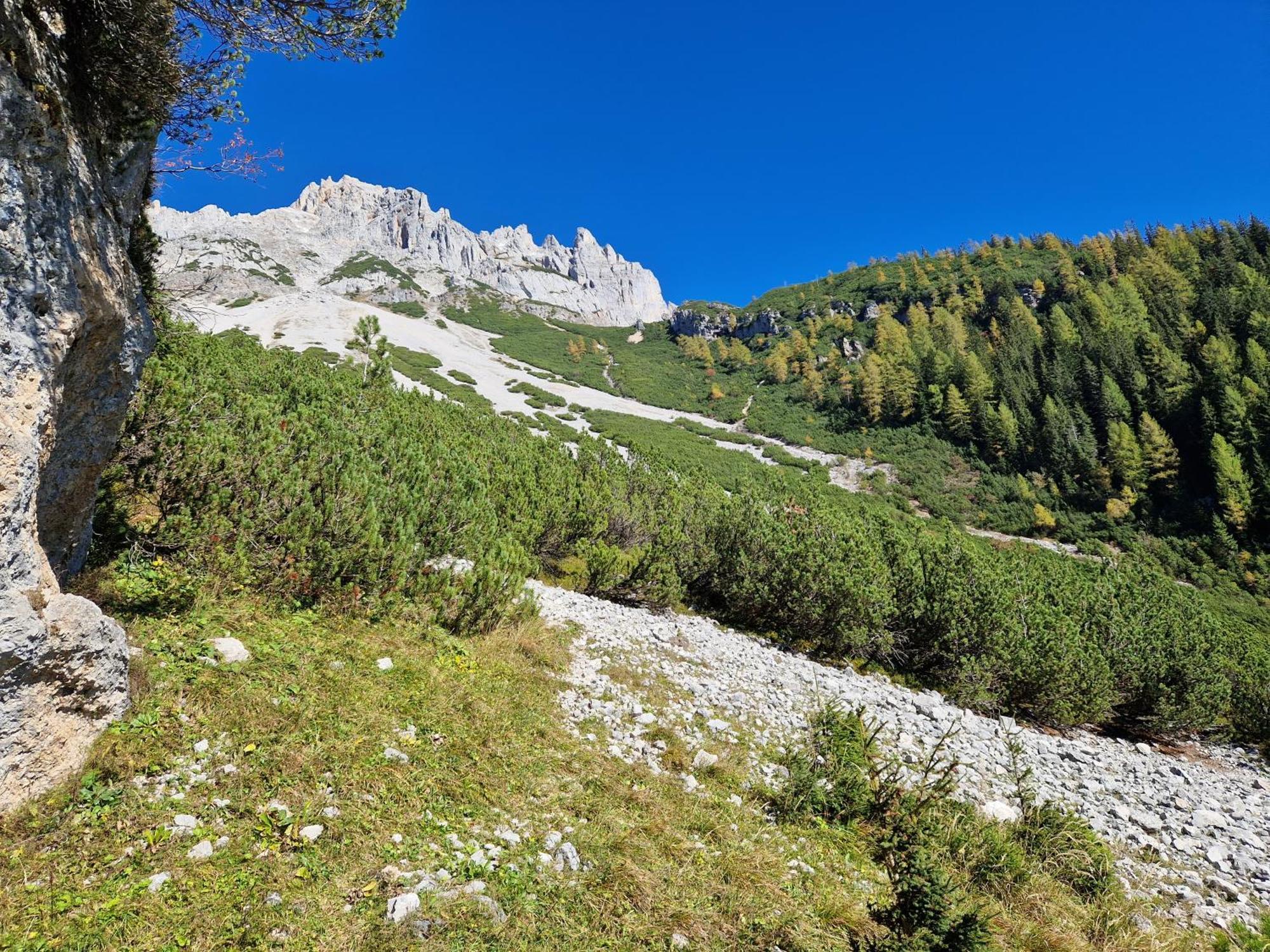 Romantikapartment Mit Sommercard Ramsau am Dachstein Eksteriør bilde