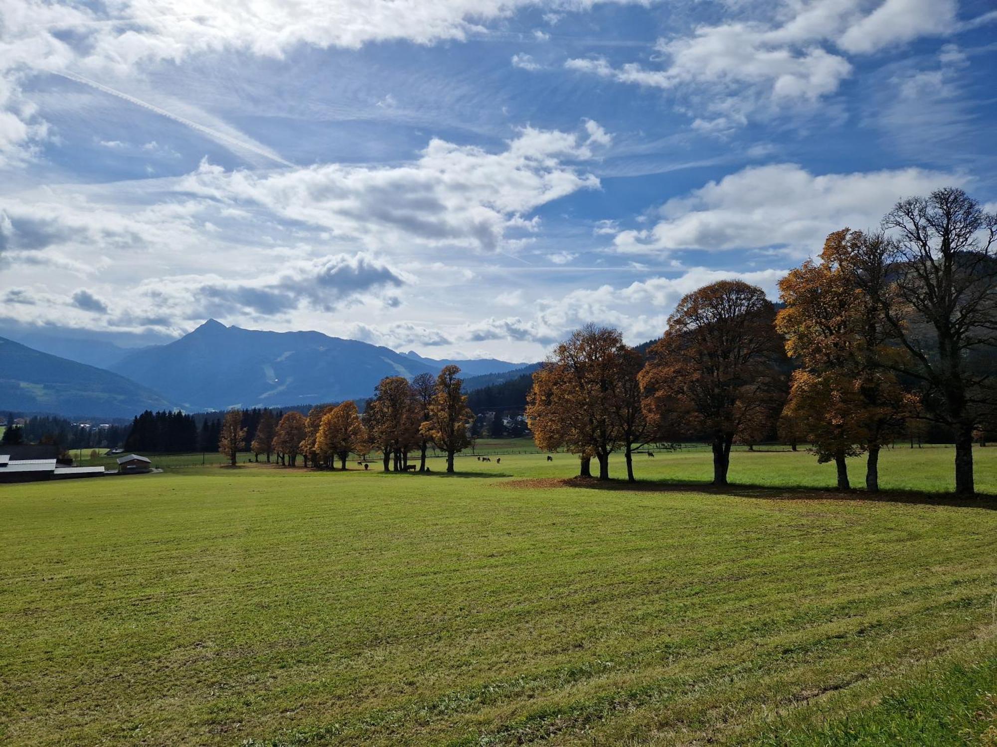 Romantikapartment Mit Sommercard Ramsau am Dachstein Eksteriør bilde