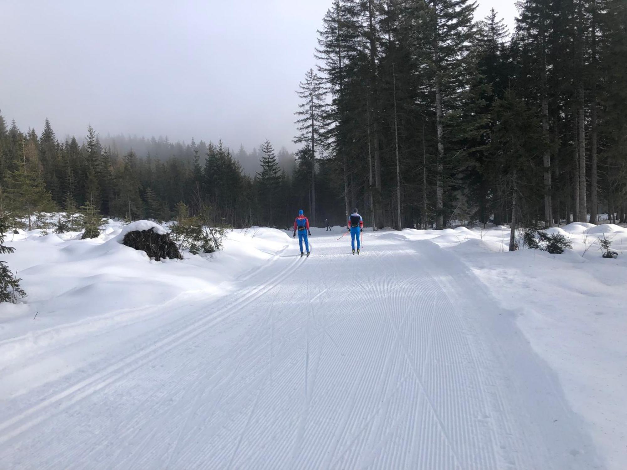 Romantikapartment Mit Sommercard Ramsau am Dachstein Eksteriør bilde