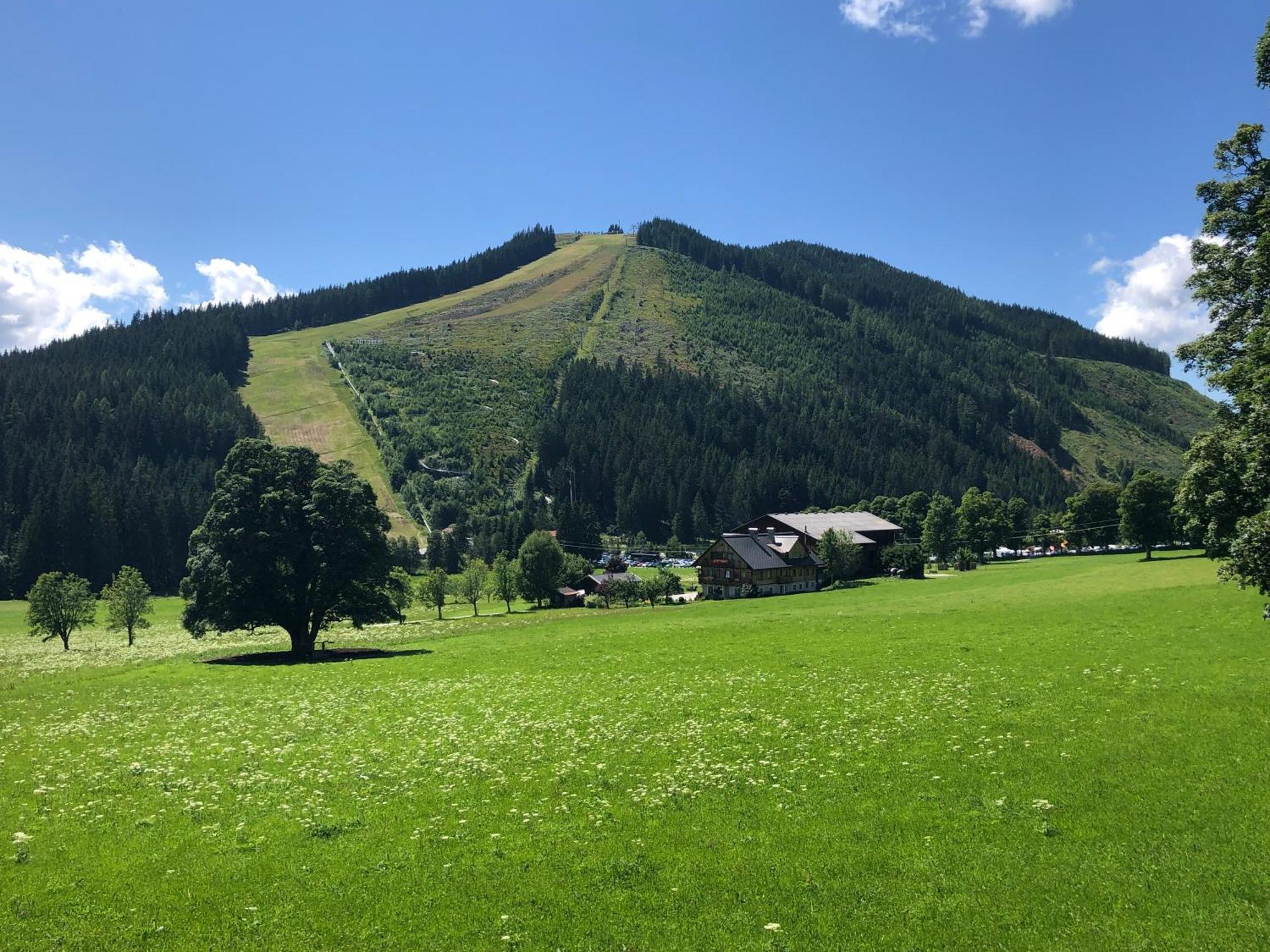 Romantikapartment Mit Sommercard Ramsau am Dachstein Eksteriør bilde