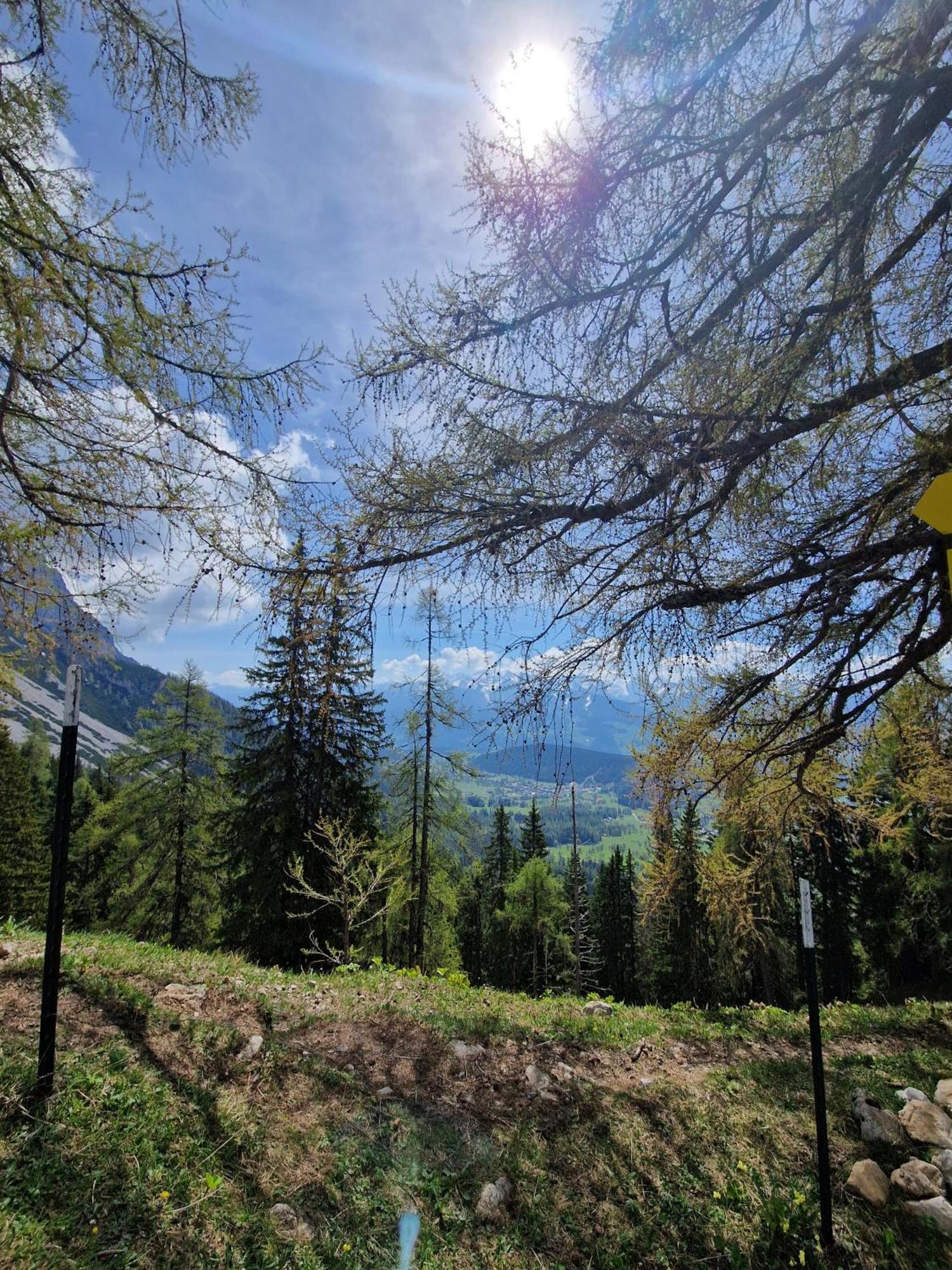 Romantikapartment Mit Sommercard Ramsau am Dachstein Eksteriør bilde