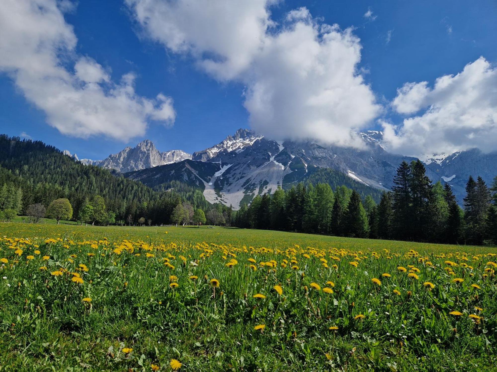 Romantikapartment Mit Sommercard Ramsau am Dachstein Eksteriør bilde