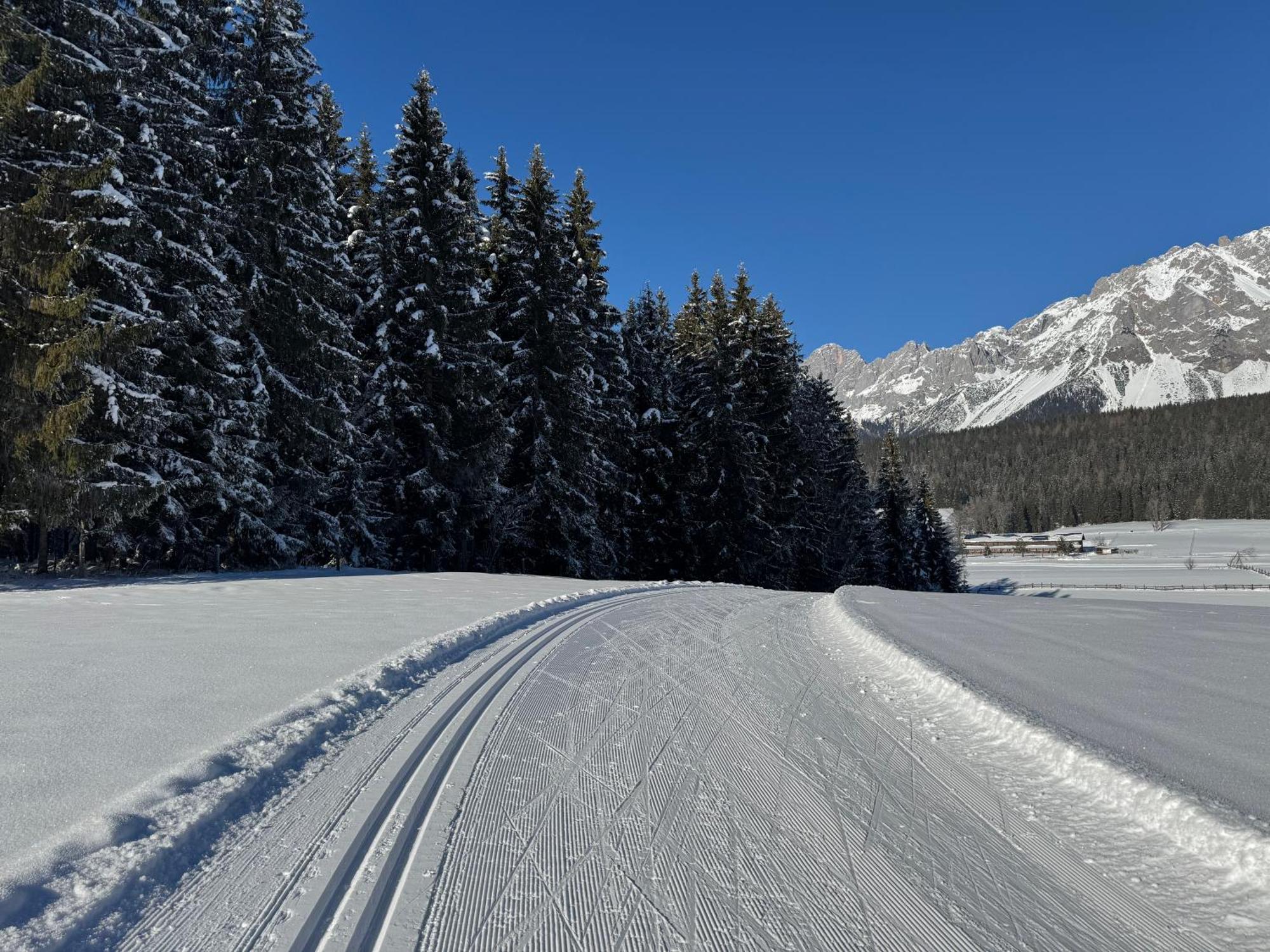 Romantikapartment Mit Sommercard Ramsau am Dachstein Eksteriør bilde