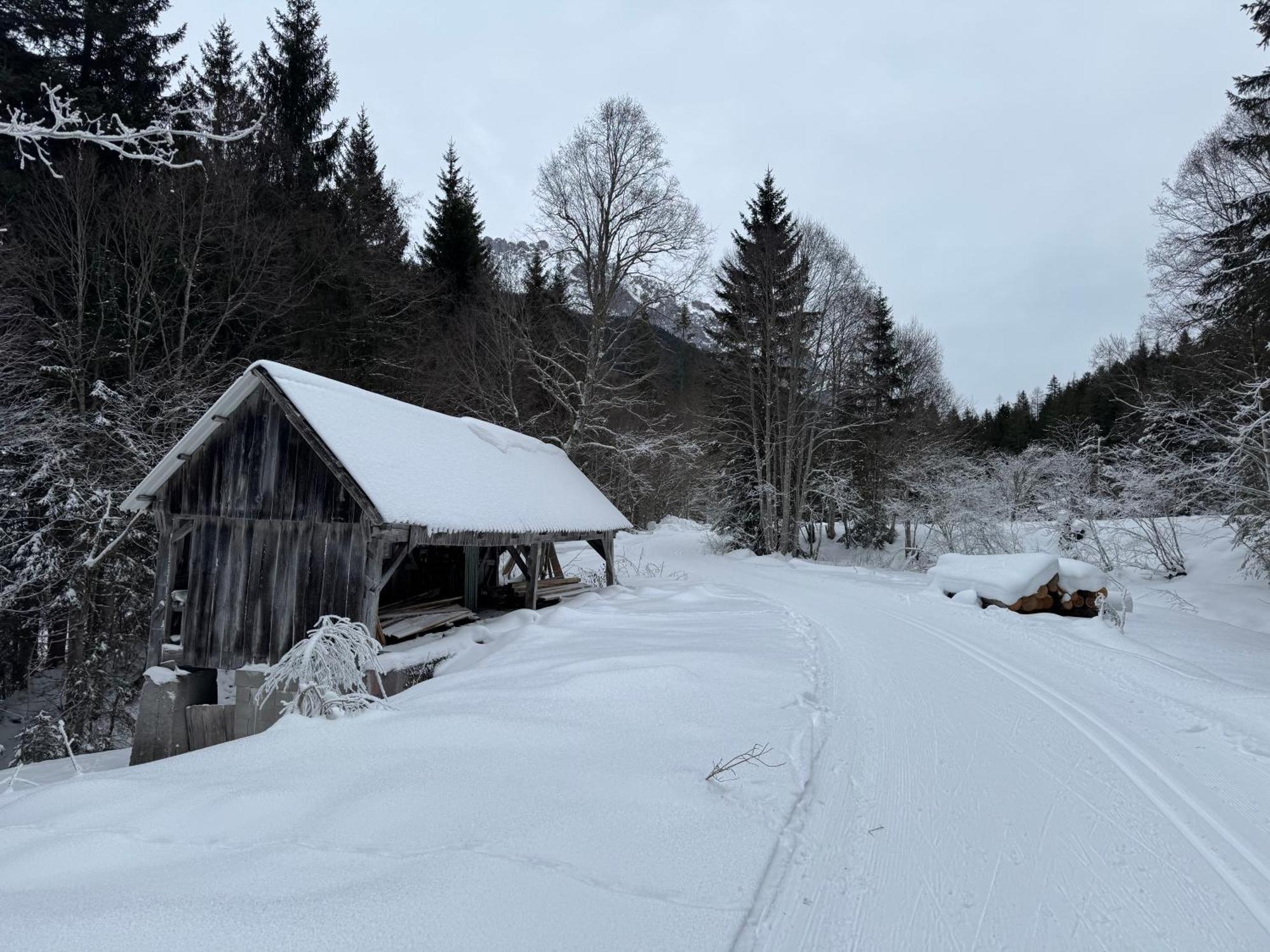 Romantikapartment Mit Sommercard Ramsau am Dachstein Eksteriør bilde